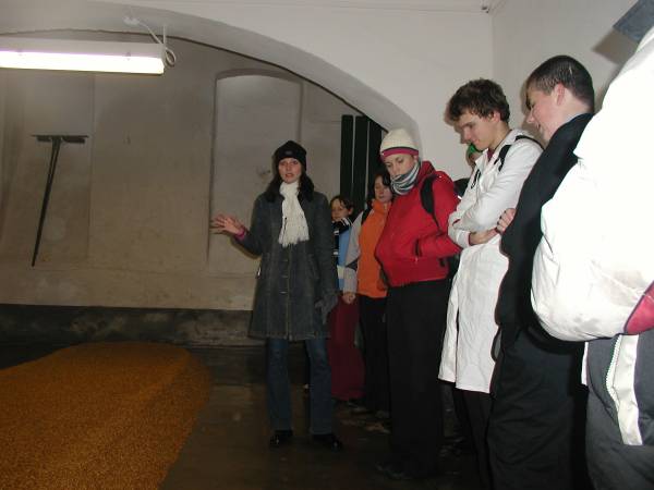 P1010013.JPG