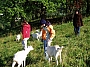 img00005.jpg
