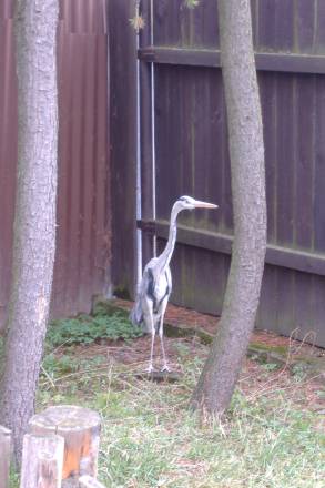 DSCF3175.JPG