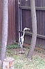 DSCF3175.JPG