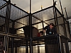 PC100135.JPG