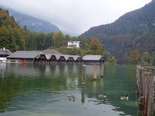 P1010009.JPG