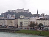 P1010031.JPG