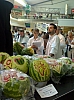 04082007203.jpg